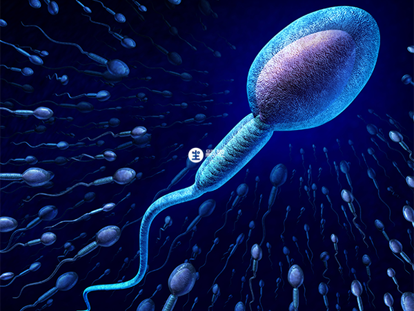 引起無精症的原因有很多