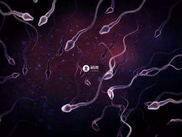 弱精會影響精子質量