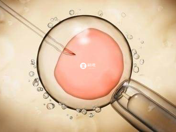 試管移植胚胎需要內膜厚度在8mm左右