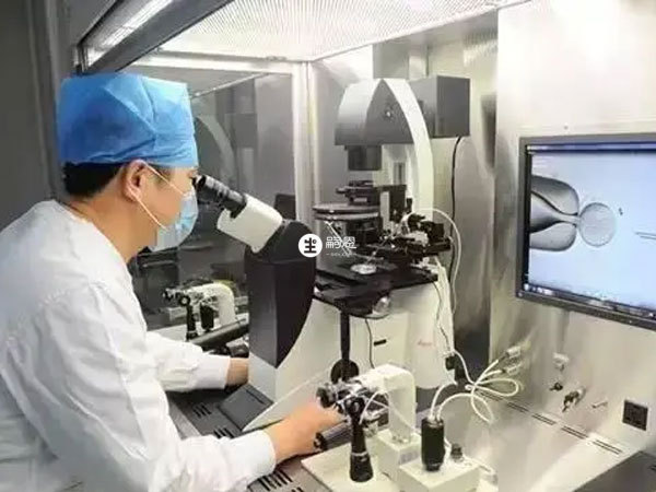 男性无精症可以做试管婴儿助孕