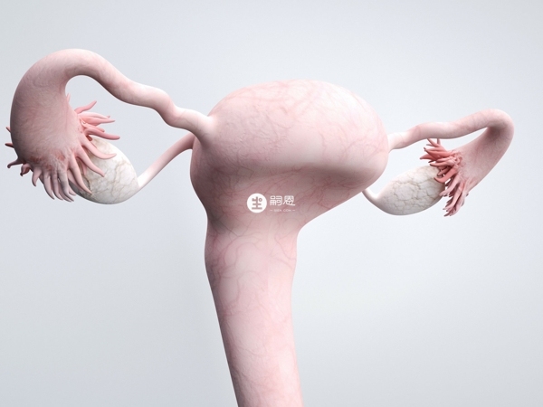 腹腔鏡檢查是子宮內膜異位症的輔助確診方法之一