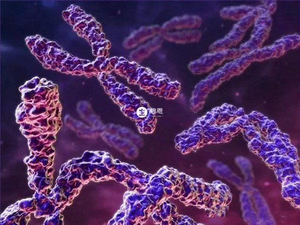 羅氏易位患者很難自然懷孕生下健康的孩子