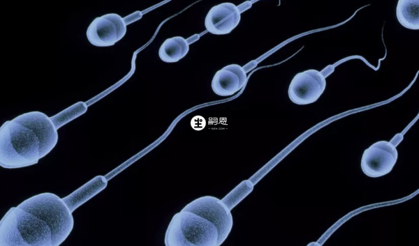 中藥治弱精症也很好