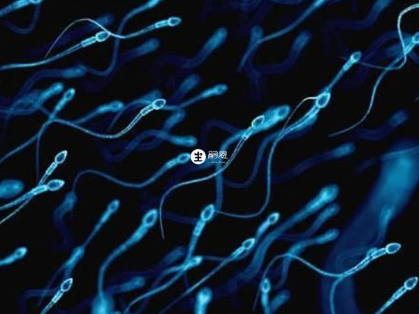 輕度血精不會影響精子治療
