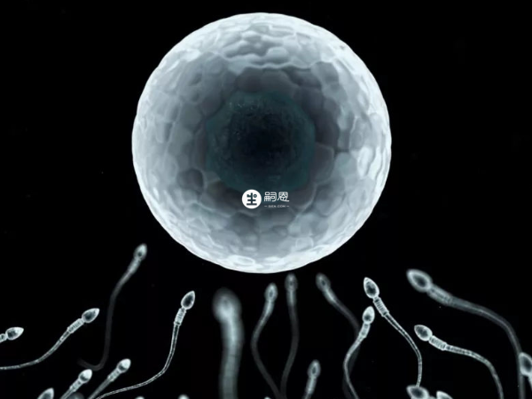 治弱精症還可吃生精片