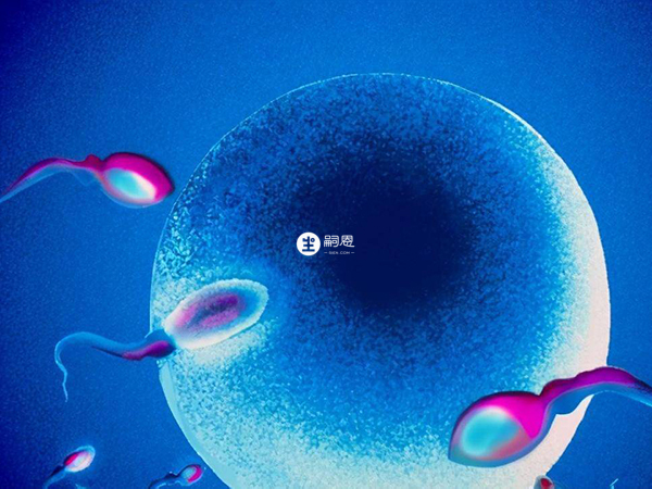 节育环能阻止精子和卵子的结合