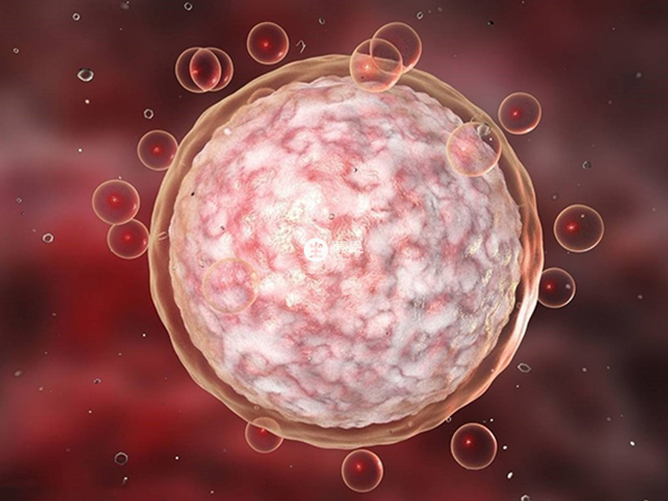 美諾孕可以促進成熟卵泡的產生