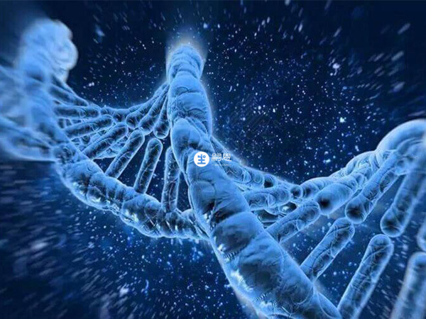 试管婴儿服用DHEA能增加怀孕几率