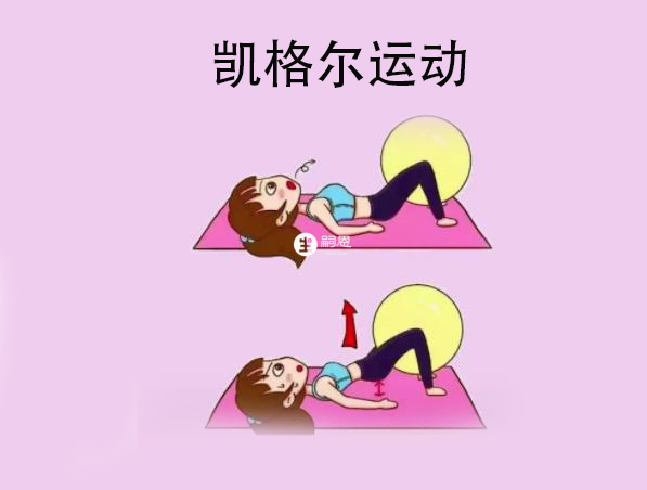 盆骨運動主要以凱格爾運動為主