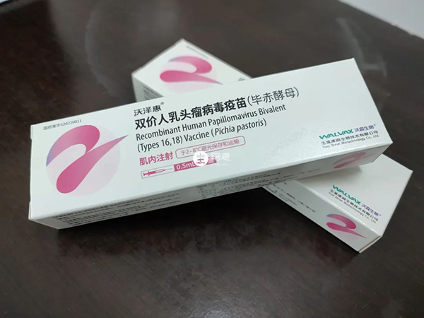 二价HPV疫苗含有HPV16型和18型