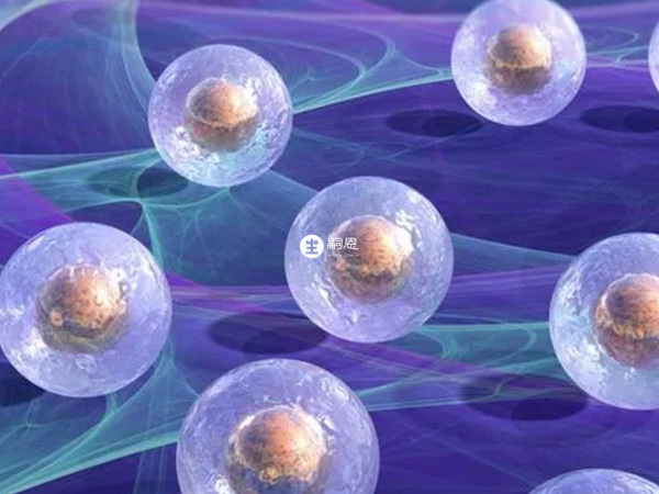 妥運可以改善卵子質量增加受孕率