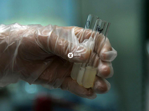 精子比较健精液的颜色就是乳白色