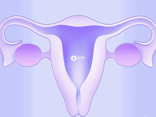 克林霉素可用于女性盆腔