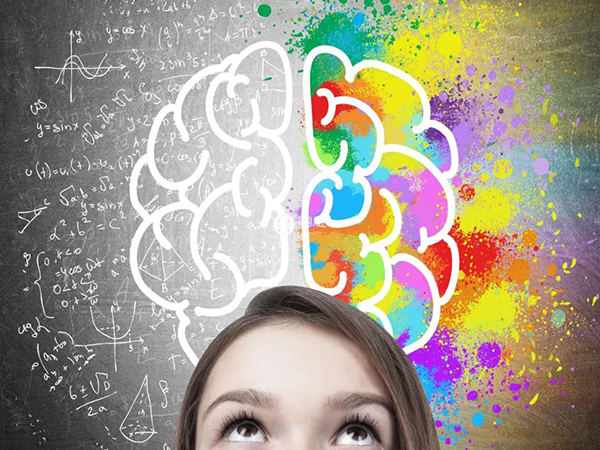 dha能促進胎兒大腦和神經系統發育