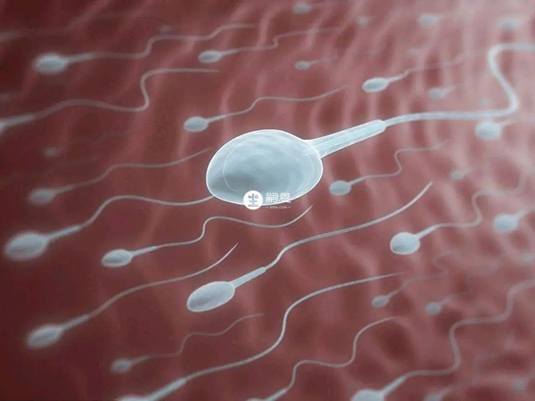 供精試管需要等待精源