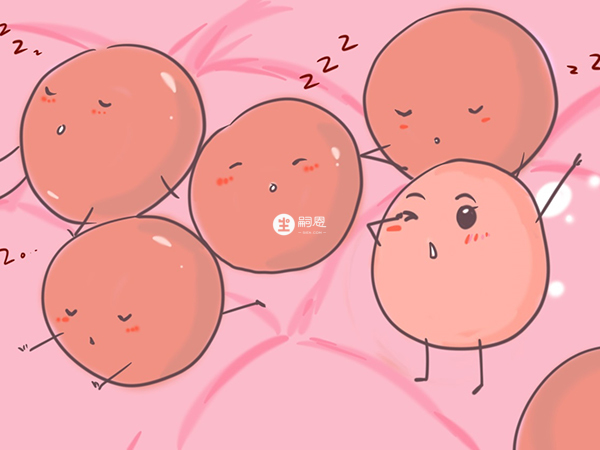 一次促排一次取卵可能出来多个胚胎