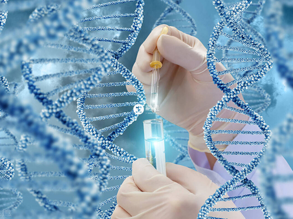 臺灣試管嬰兒醫院知名度提升