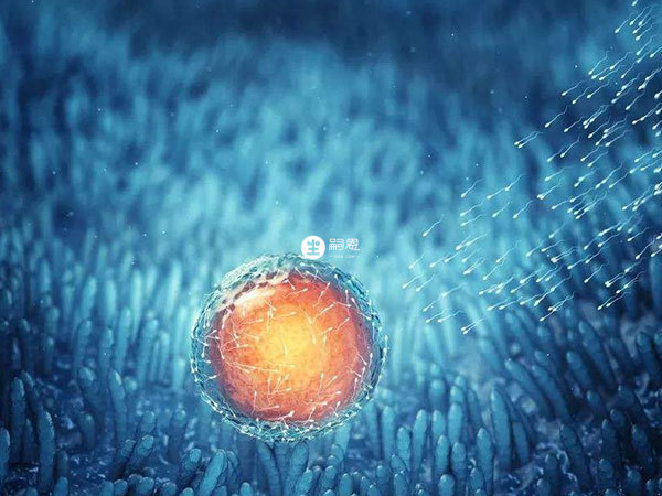 性六激素正常有必要檢查amh值