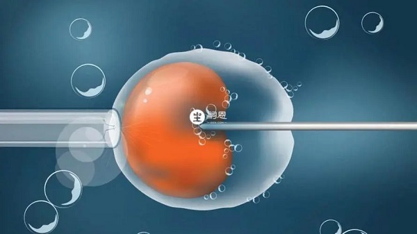 人工授精操作比較複雜