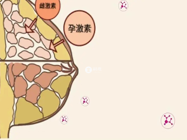 服用妈富隆能补充雌激素