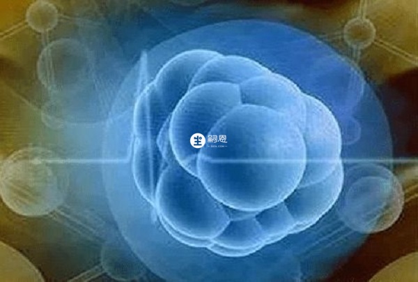 凍胚技術相對更加成熟