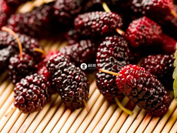 桑葚沒有促進卵泡發育的作用