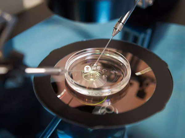 三代試管pgt篩查可以排除唐氏綜合症