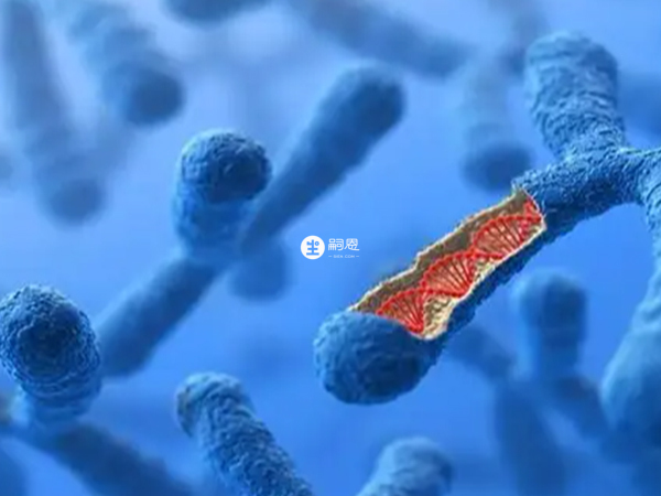 染色體異常可做三代試管