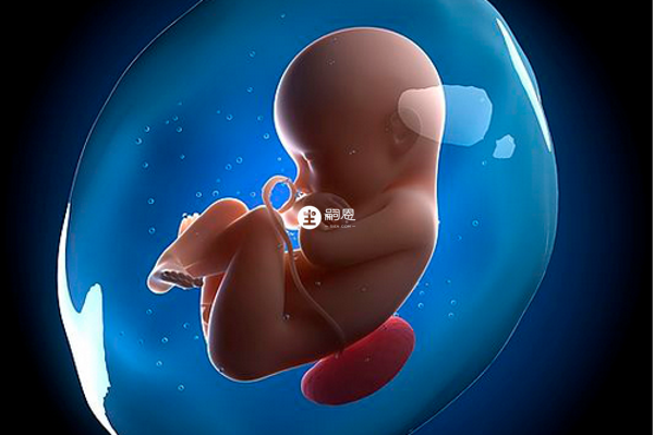 51歲女性做試管懷孕機率因人而異