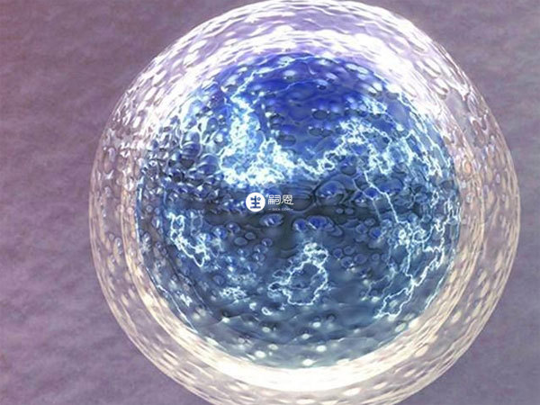 凍胚復甦後會升級成融合胚