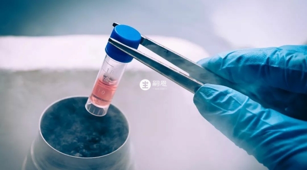 凍胚移植的最佳時間是在月經中期