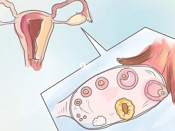 每個卵泡雌二醇含量不同