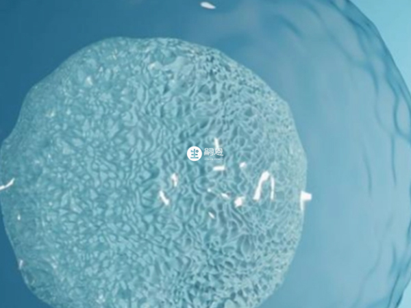 大卵泡受孕率比小卵泡更大些