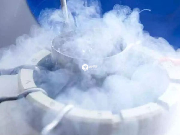 冻卵复苏成活率受多个因素影响