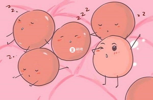 一級囊胚當中不包括5ba優質囊胚