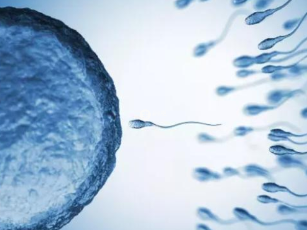 國內沒有四代試管技術