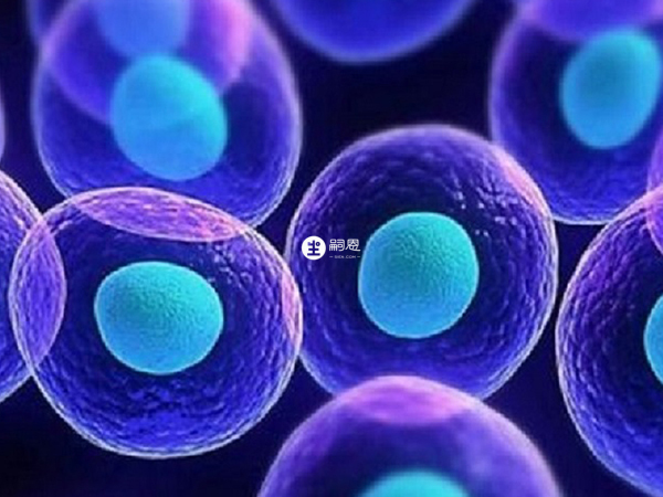 做供卵試管都要排隊等卵源