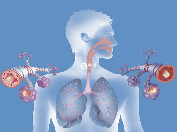 美卓樂對呼吸道疾病有治療作用