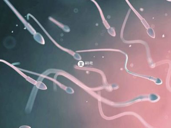 生精片可以跟固本還少丸搭配使用