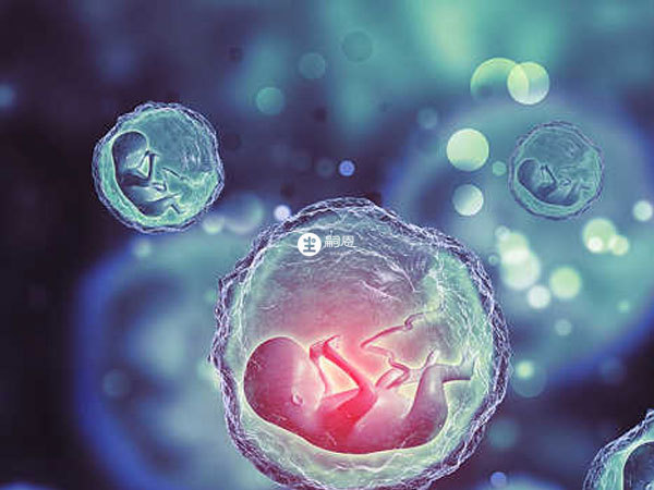 海外沒結婚證可以做試管嬰兒