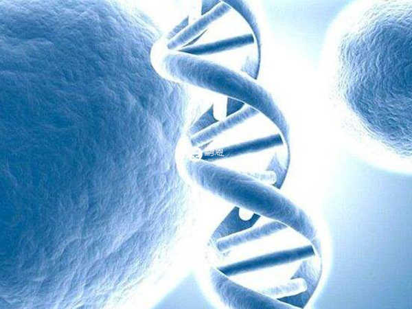 成都有兩家醫院可以做三代試管