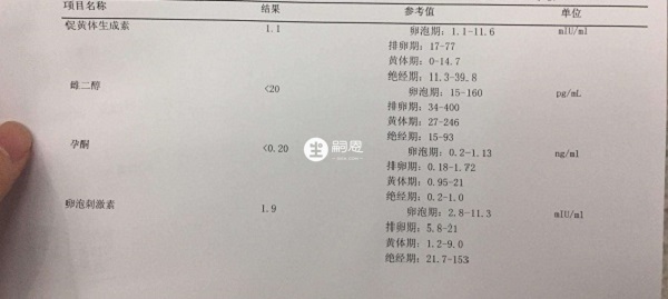 降调检查报告单