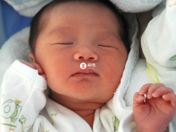 不辦準生證影響生育險報銷