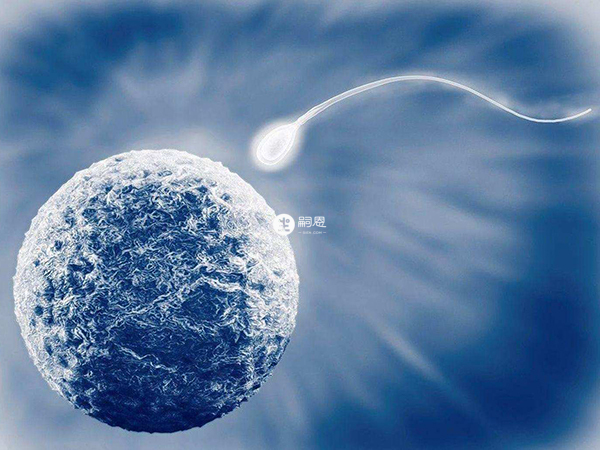 第三代試管嬰兒的費用因人而異