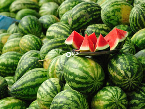 卵巢早衰患者要少吃西瓜