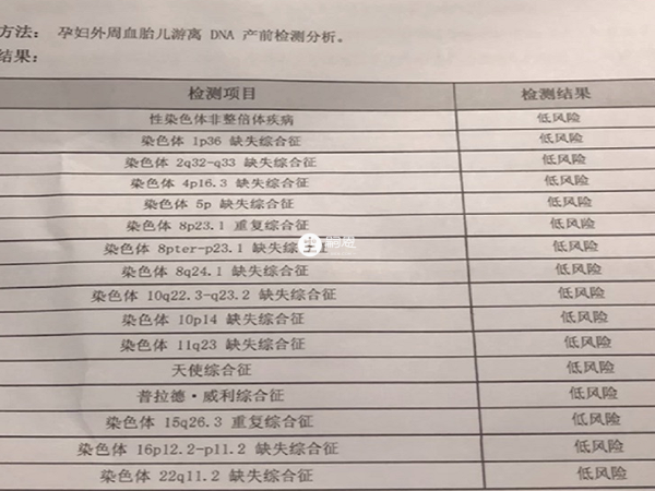 无创dna检查报告单