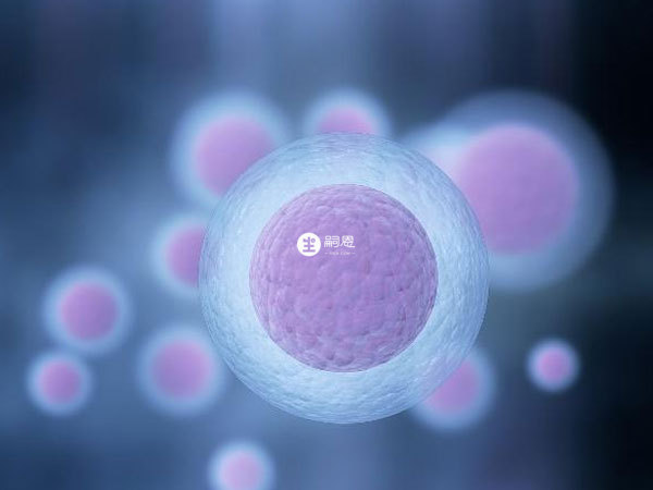 小卵泡的界定範圍沒有明確標準