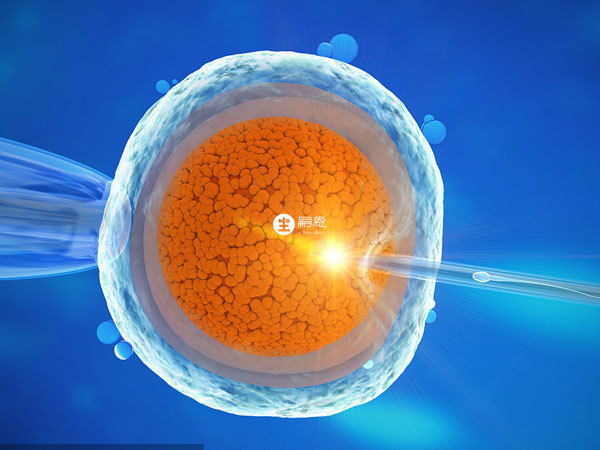 建議一個月只做一次人工授精