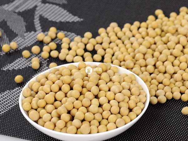 多吃豆类补充雌激素