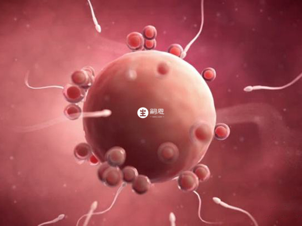 卵泡發育不良可能是卵巢早衰